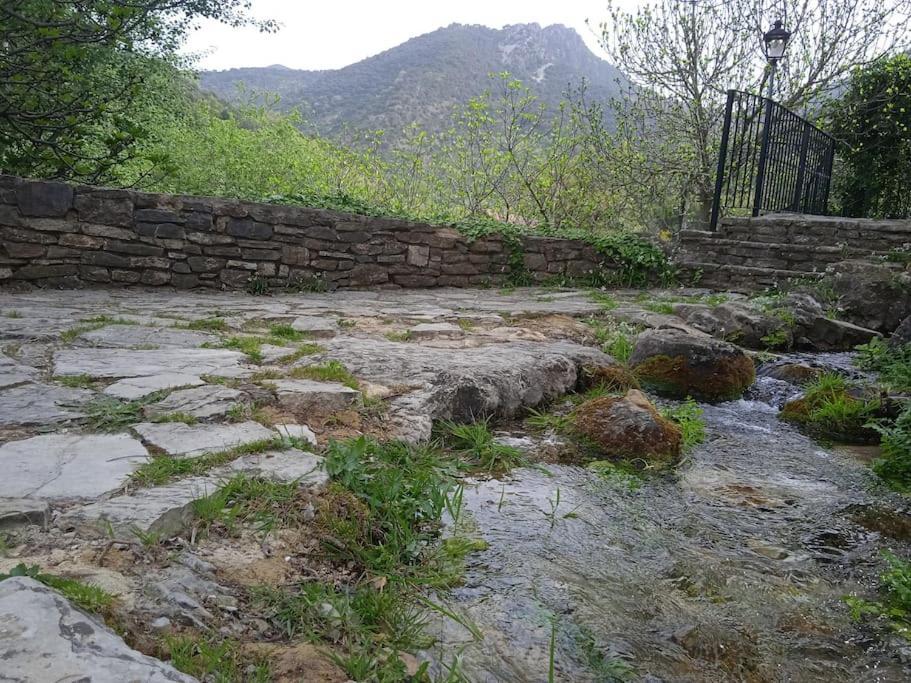 Alojamientos Sierra De Cadiz ベナマオマ エクステリア 写真