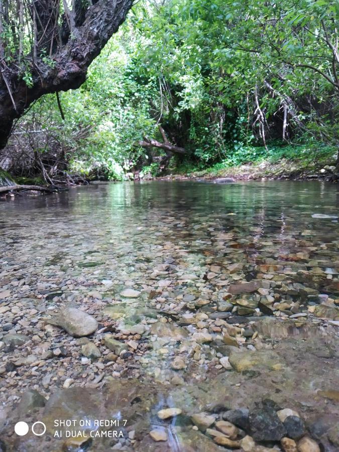 Alojamientos Sierra De Cadiz ベナマオマ エクステリア 写真