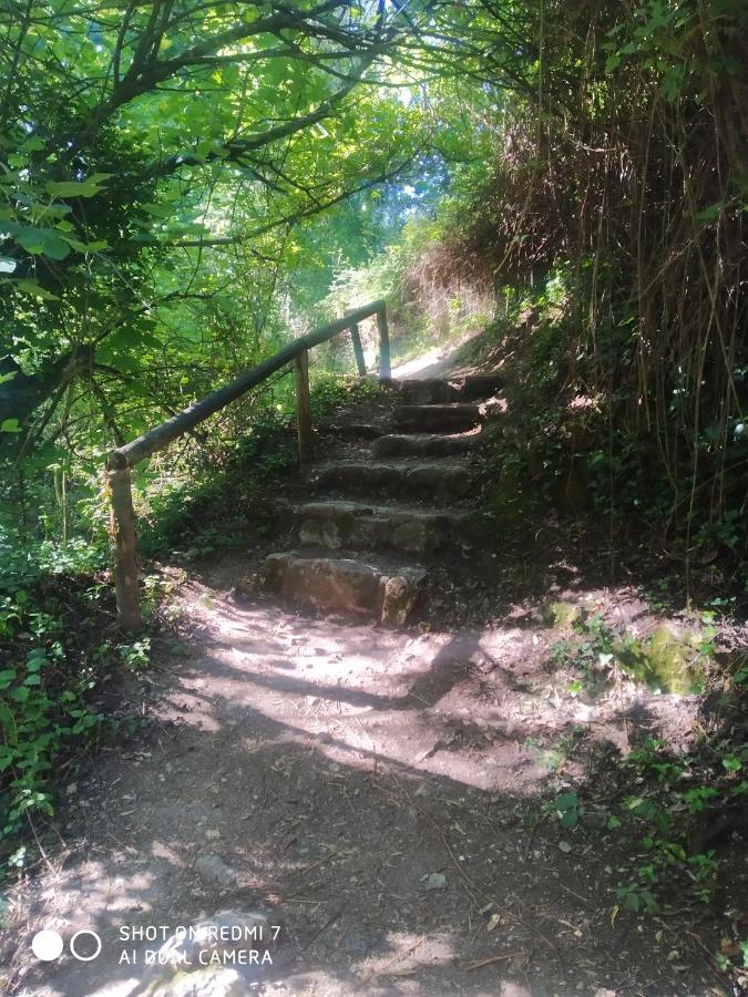 Alojamientos Sierra De Cadiz ベナマオマ エクステリア 写真