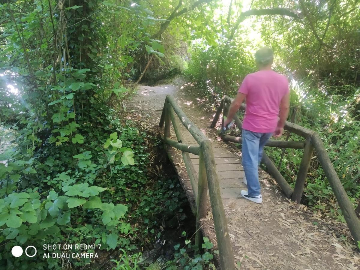 Alojamientos Sierra De Cadiz ベナマオマ エクステリア 写真
