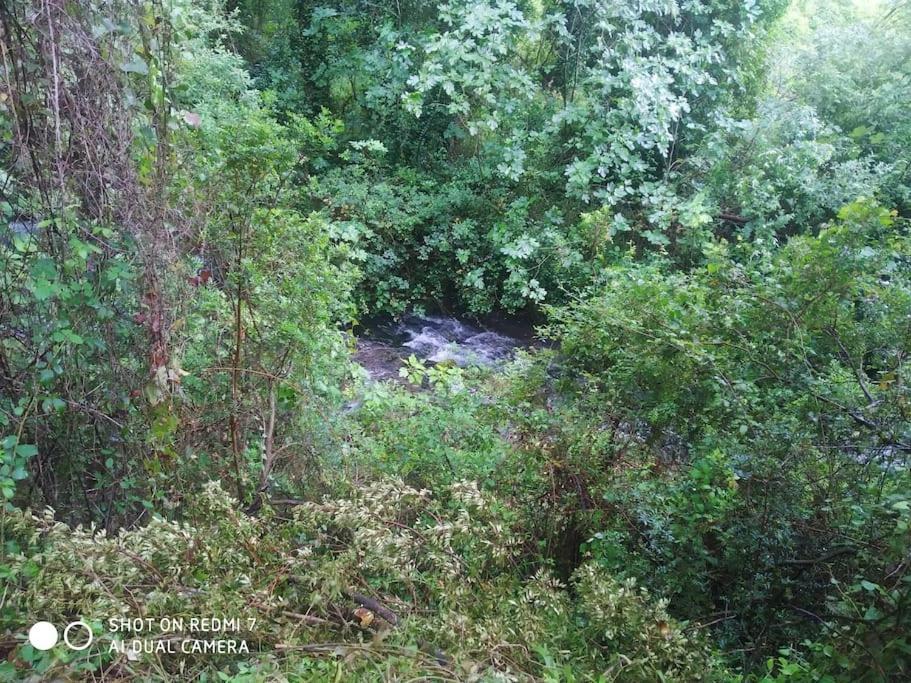 Alojamientos Sierra De Cadiz ベナマオマ エクステリア 写真