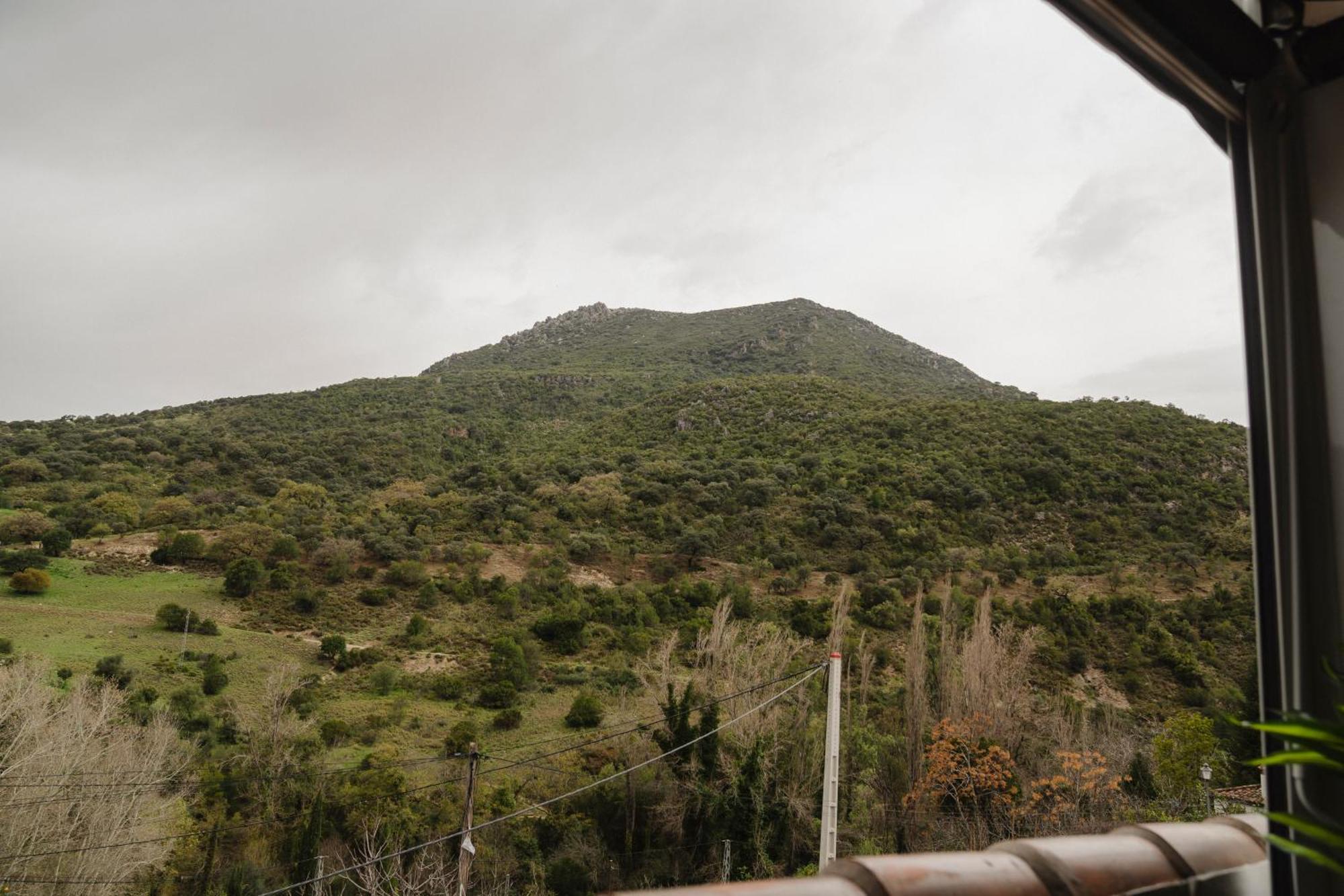 Alojamientos Sierra De Cadiz ベナマオマ エクステリア 写真