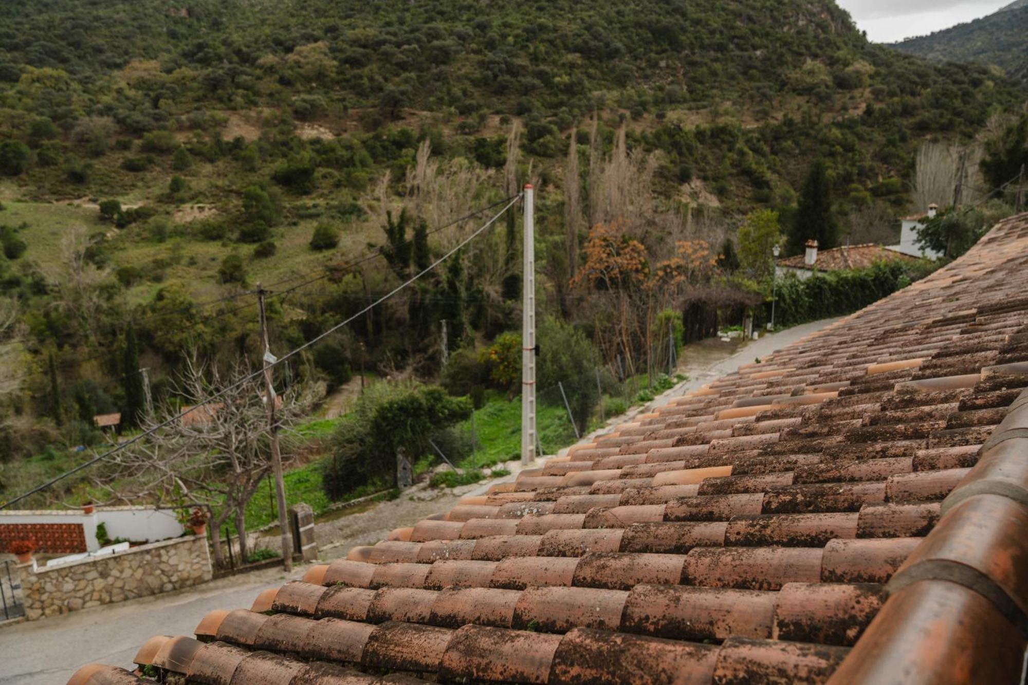 Alojamientos Sierra De Cadiz ベナマオマ エクステリア 写真