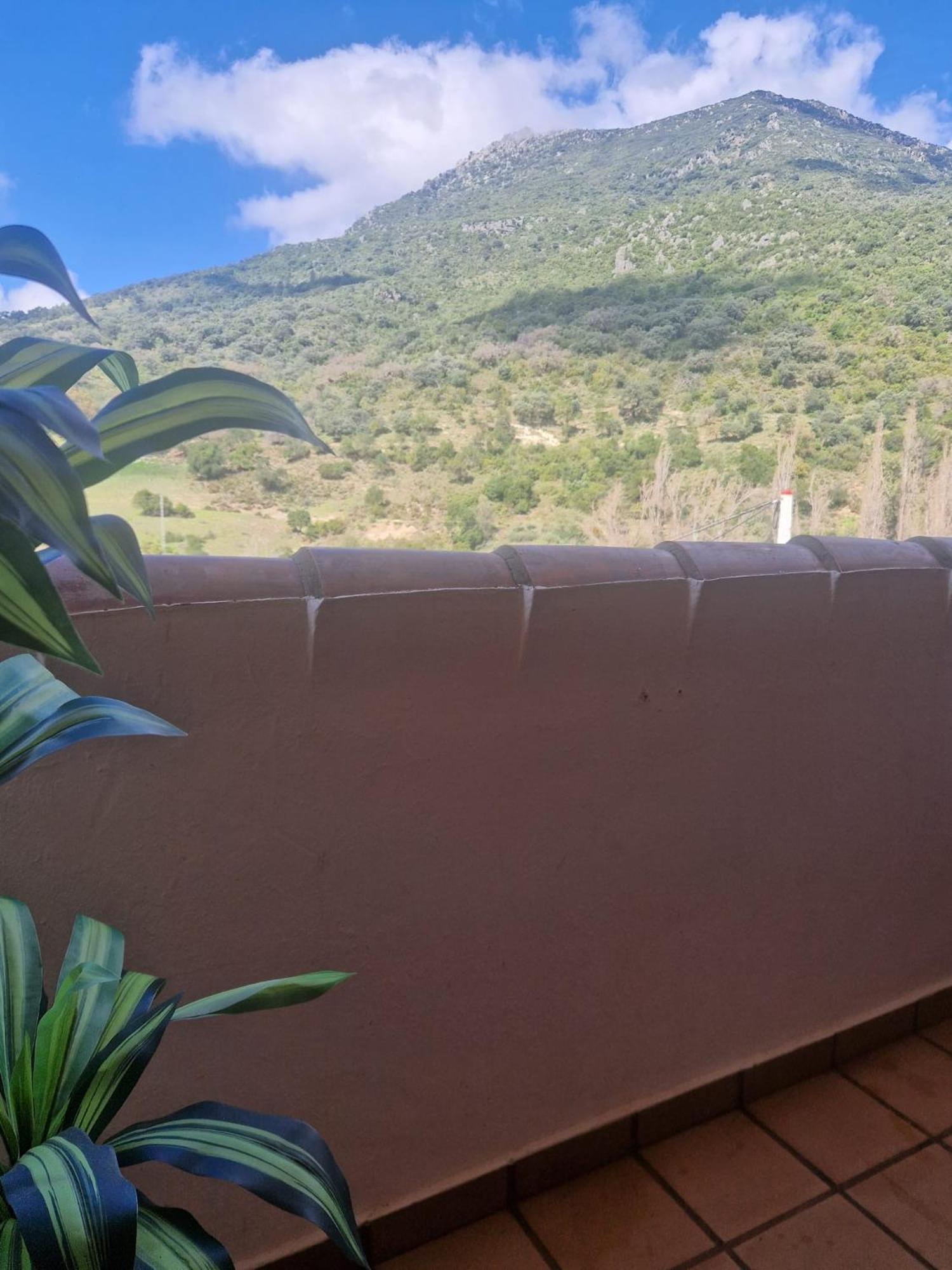Alojamientos Sierra De Cadiz ベナマオマ エクステリア 写真